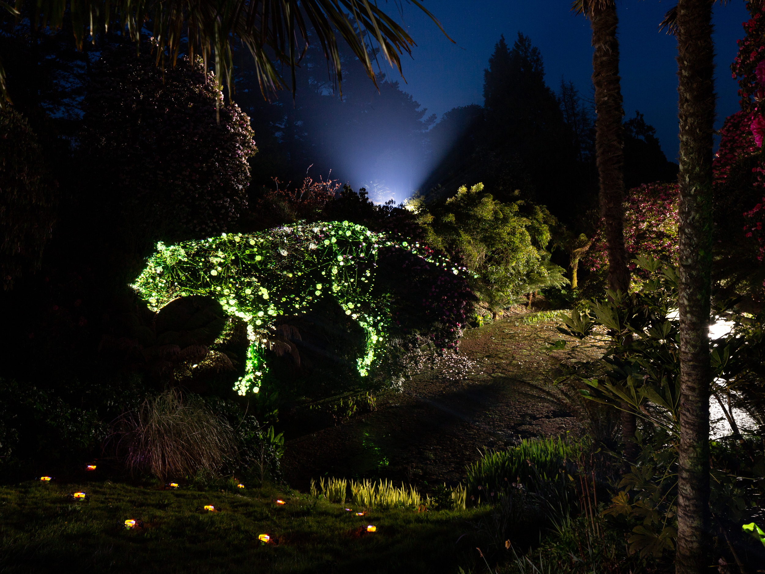 A jaguar is projected in green scattered lights onto a lush nightime landscape
