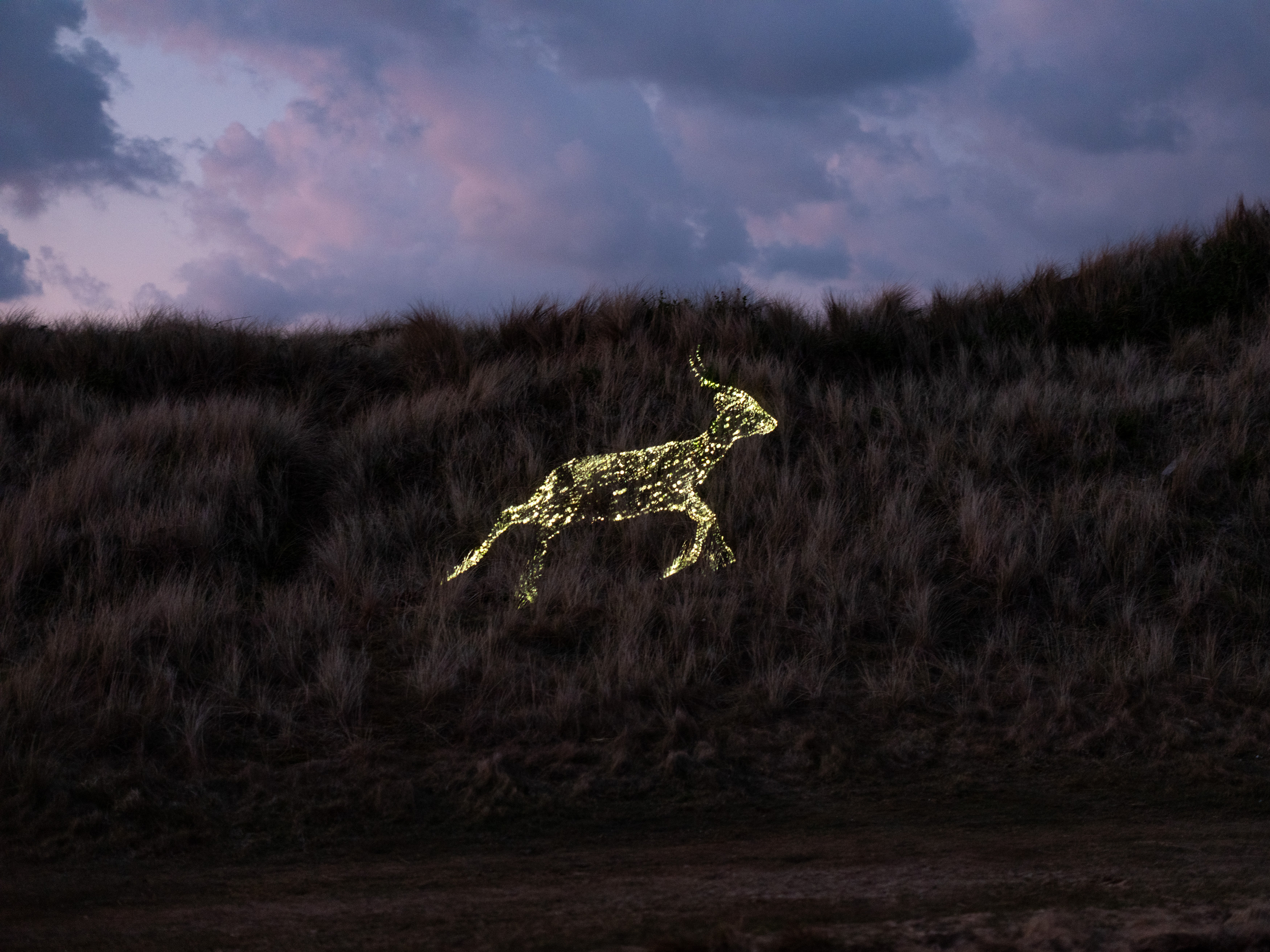A stylised antelope formed of white points of light projected onto the side of a hill