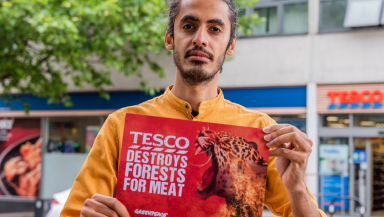 Activist holds up a sign reading "Tesco destroys forests for meat"