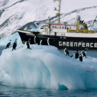 A ship in an icy landscape with penguins in front of it on an iceberg