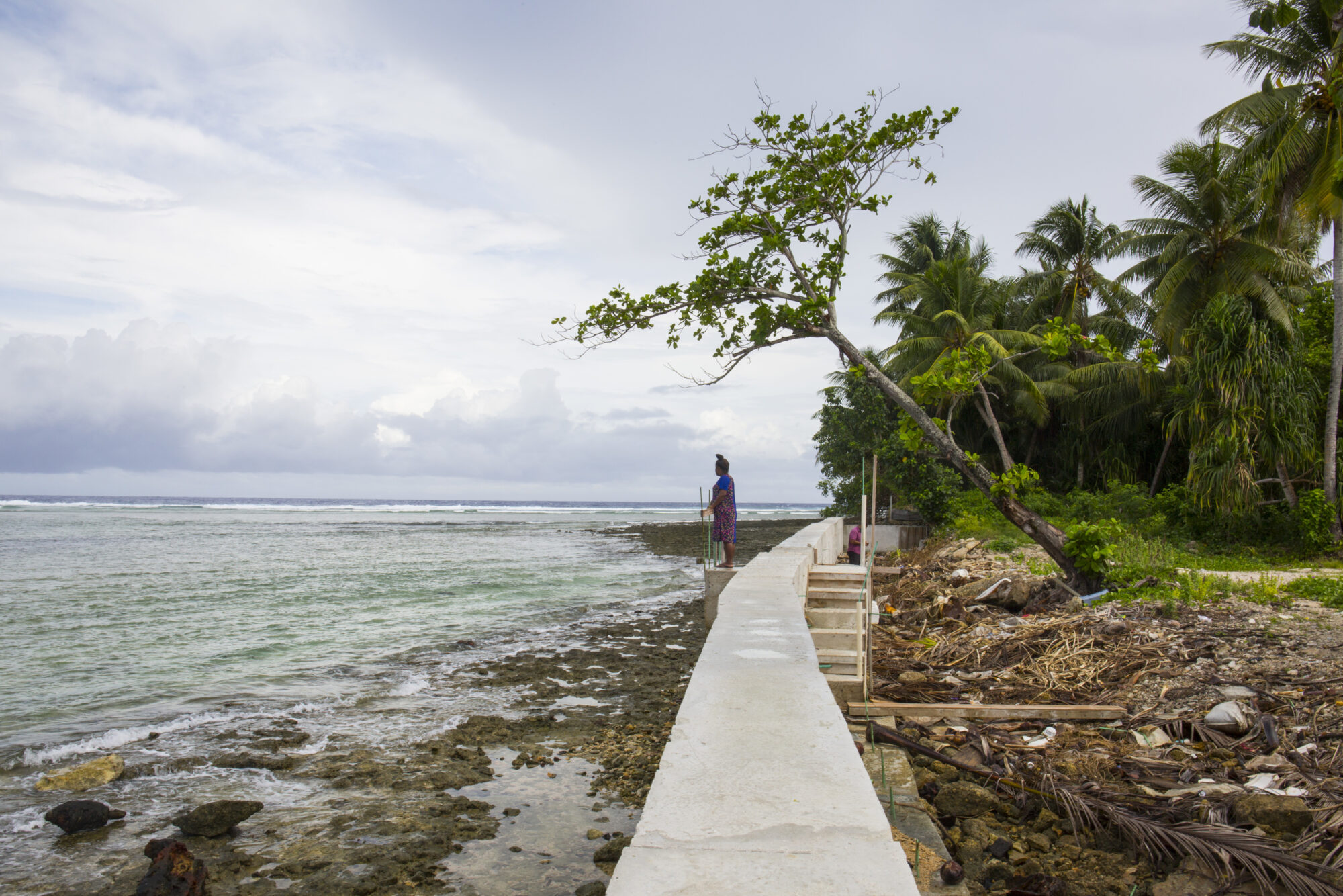 A concrete seawall down the centre of the image, with the ocean to the left and tropical palm trees to the right. A person stands on the seawall, looking out at the sea. Behind the wall is some debris.