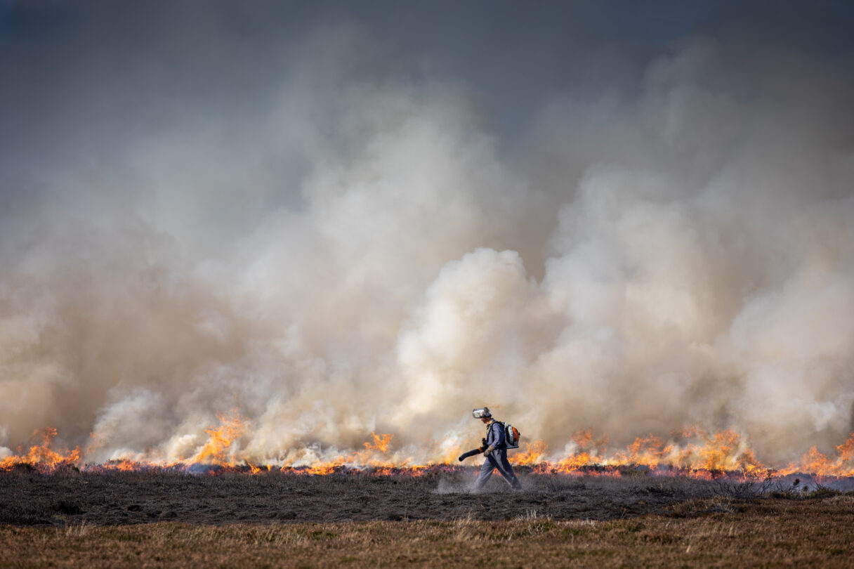 Peatland Burning on North York Moors UK