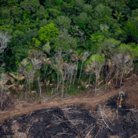Aerial view shows a dense forest in the upper half of the image, which gives way to bare, scorched earth in the lower half. Deforestation causes climate change