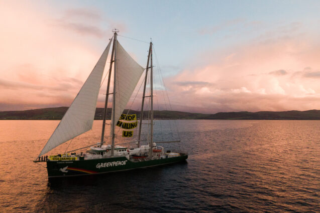 Aerial view of Greenpeace ship, the Rainbow Warrior, on the water at sunset. Between the sails is a large banner reading "Stop Failing Us". Hills can be seen in the background.