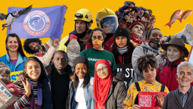 Photo montage showing cutout photos of dozens of people who've been involved with Greenpeace in 2021. Youth activists holding signs, offshore workers in hart hats, artists in ocean-themed costumes, and investigators in masks can all be seen.