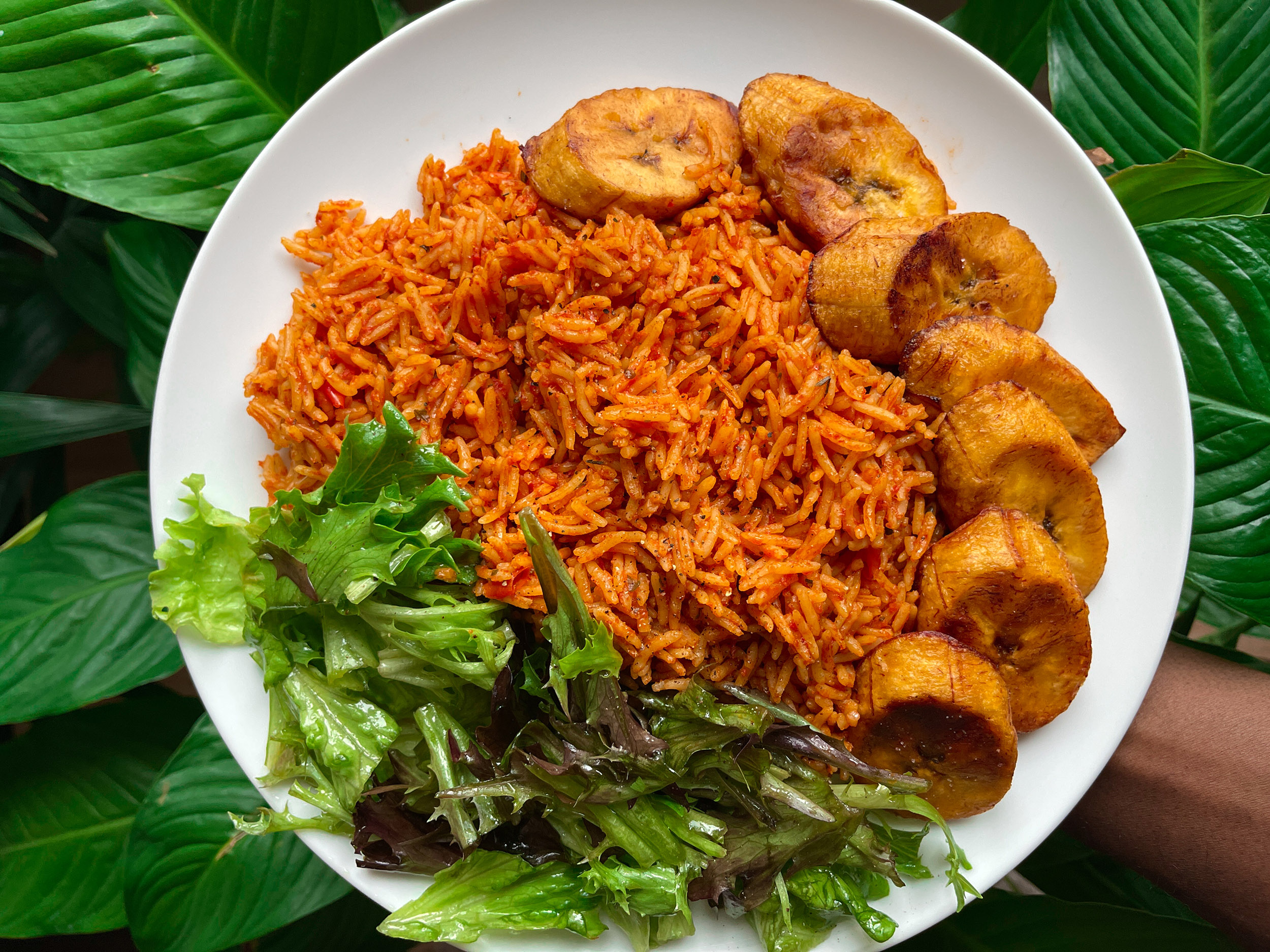 A beautifully presented plate of jollof rice with fried plantain and green salad against a background of lush green leaves.