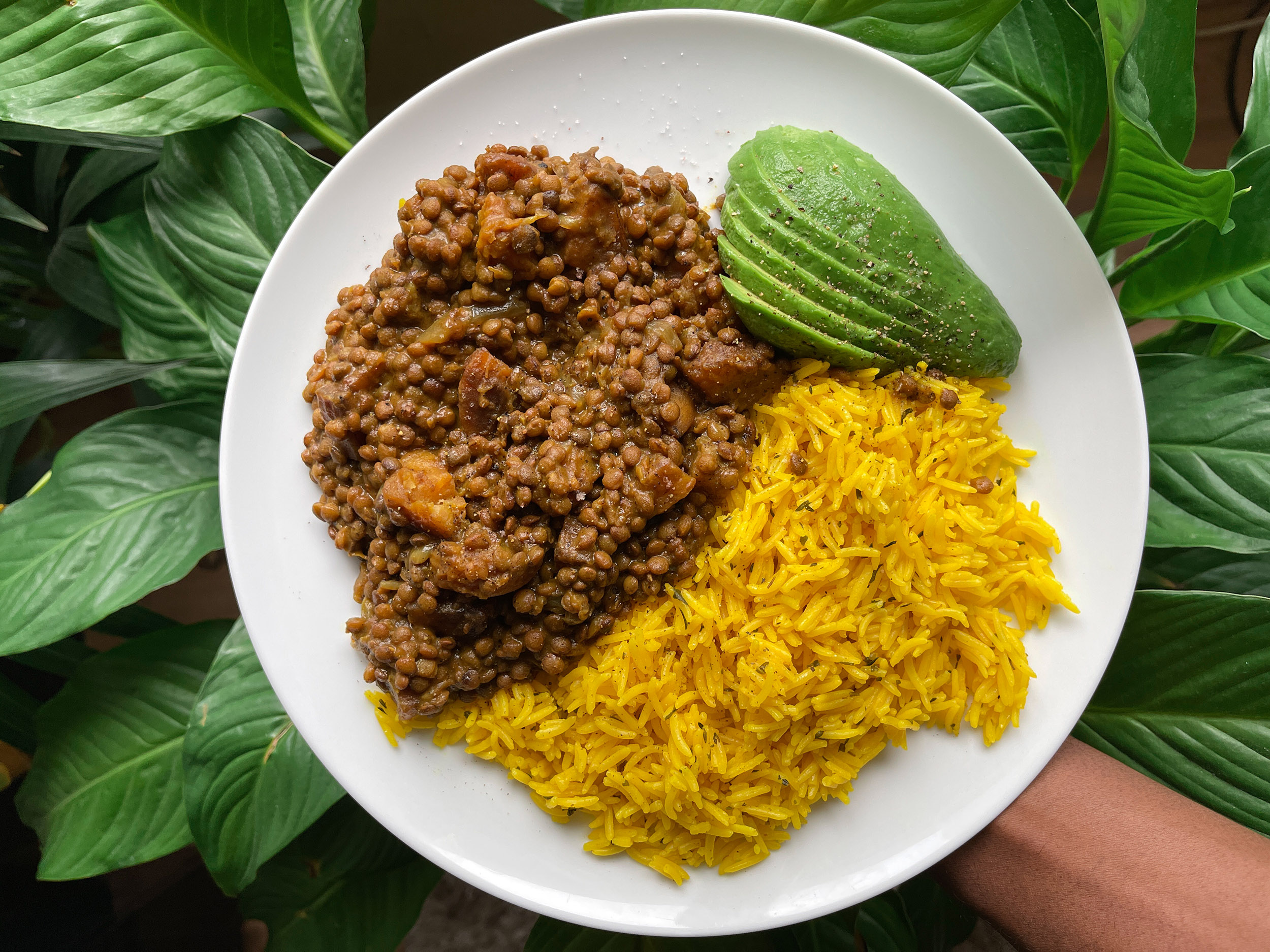 A beautifully presented plate of lentil curry with rice and slices of avocado against a background of lush green leaves.