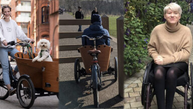 Photo montage shows a young woman on a cargo tricycle with a dog in the front, the same tricycle stuck in a barrier on a footpath, and a young woman in a wheelchair.
