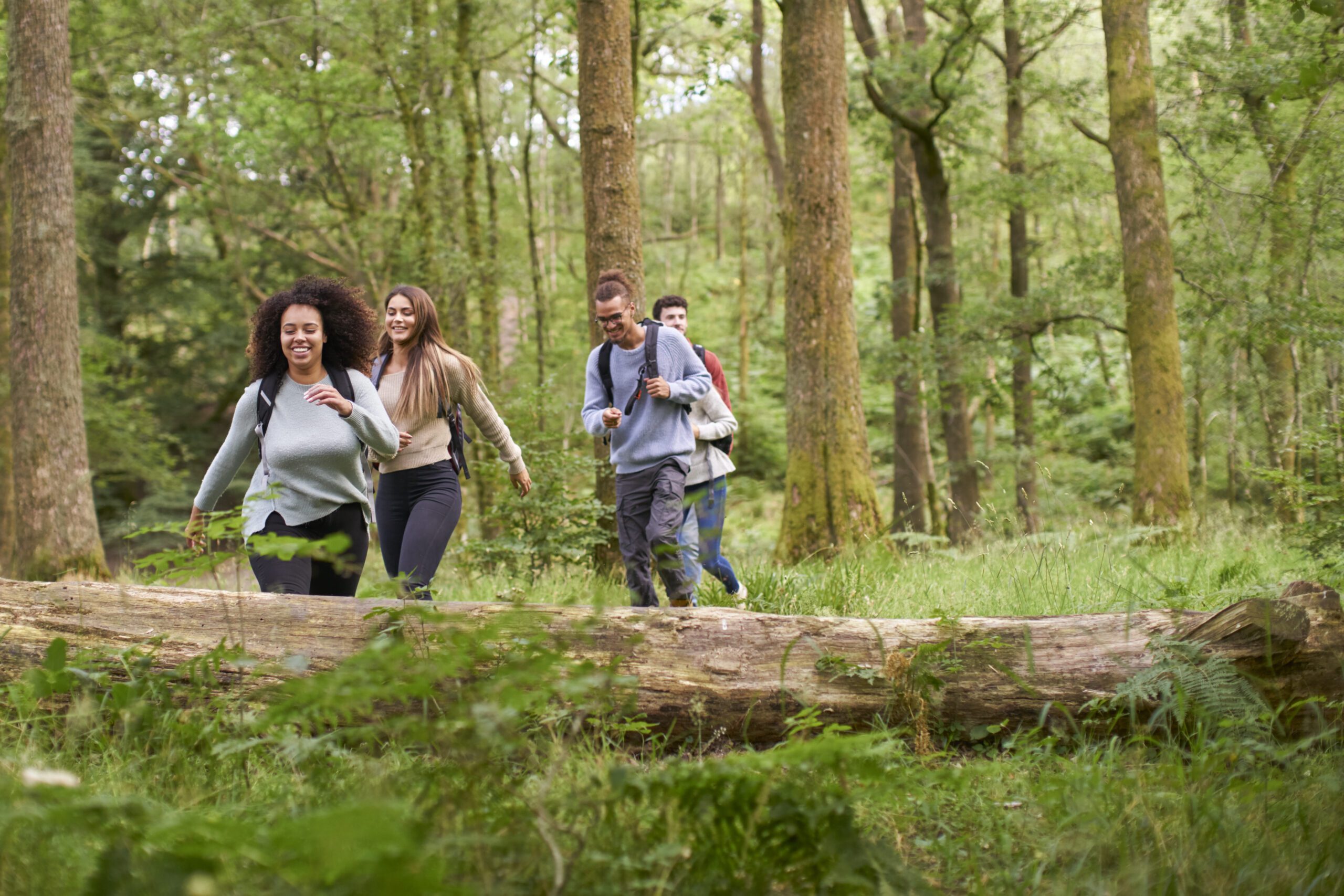A multi ethnic group of five young adult friends walking in a forest during a hike