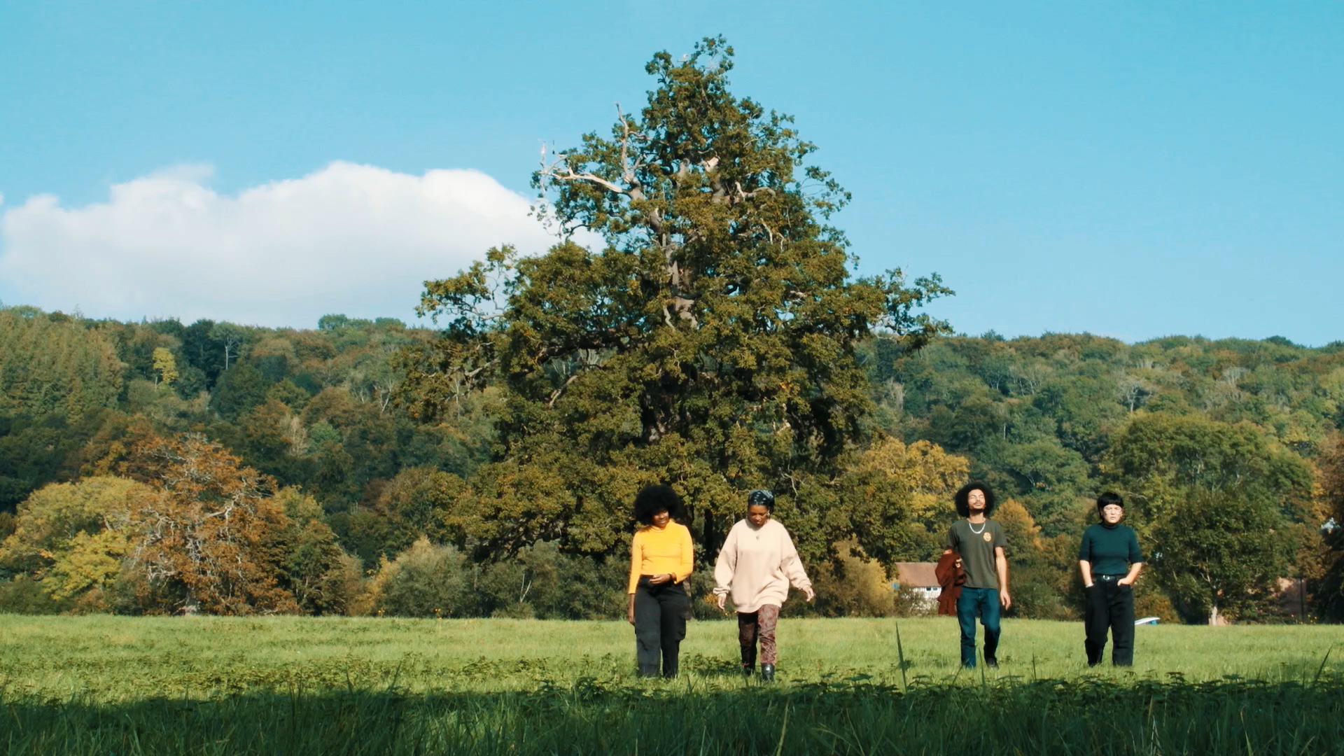Four people walking in a grass field, with a large tree and woodland in the background