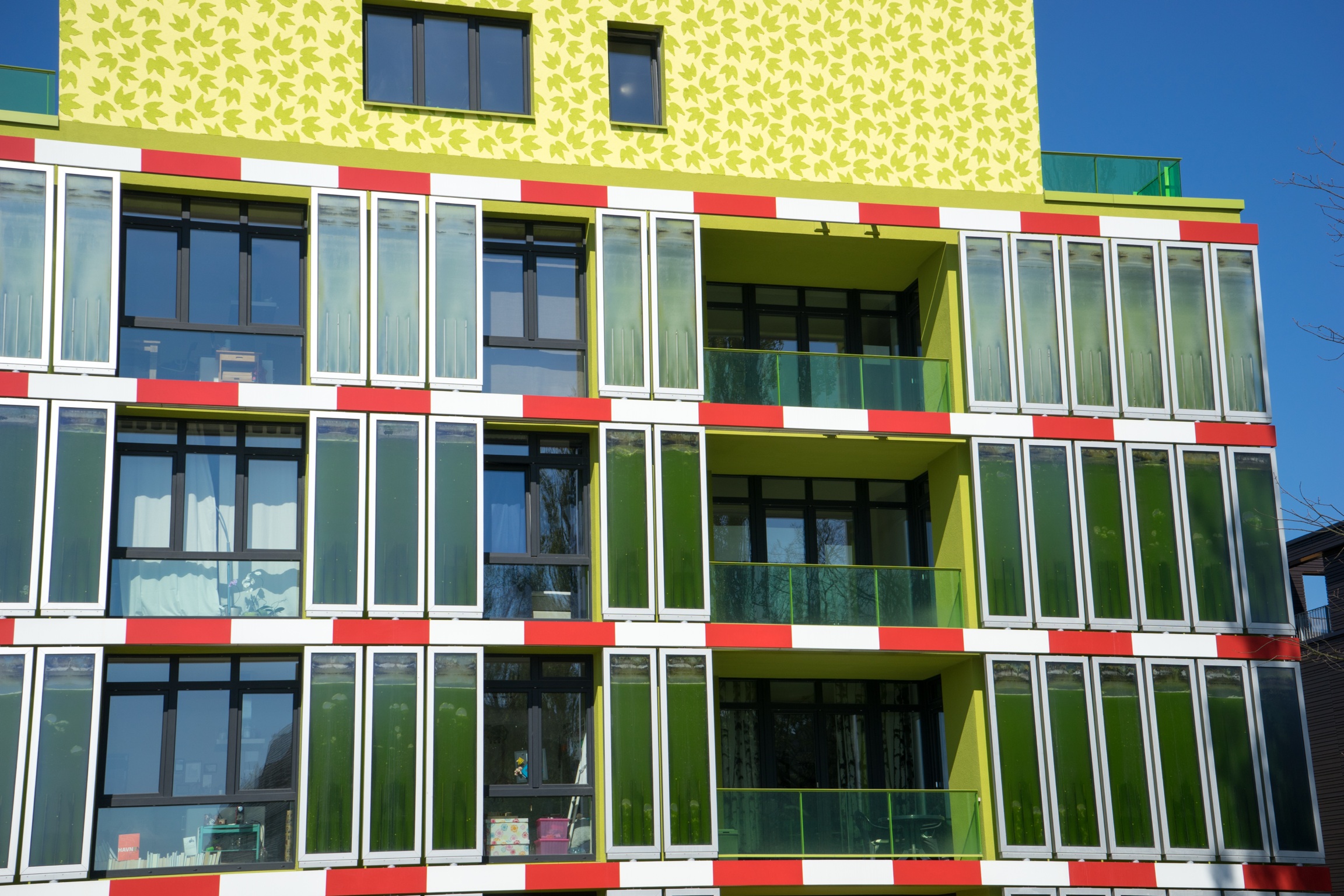 An apartment building with algae-filled panels that look like misted windows.
