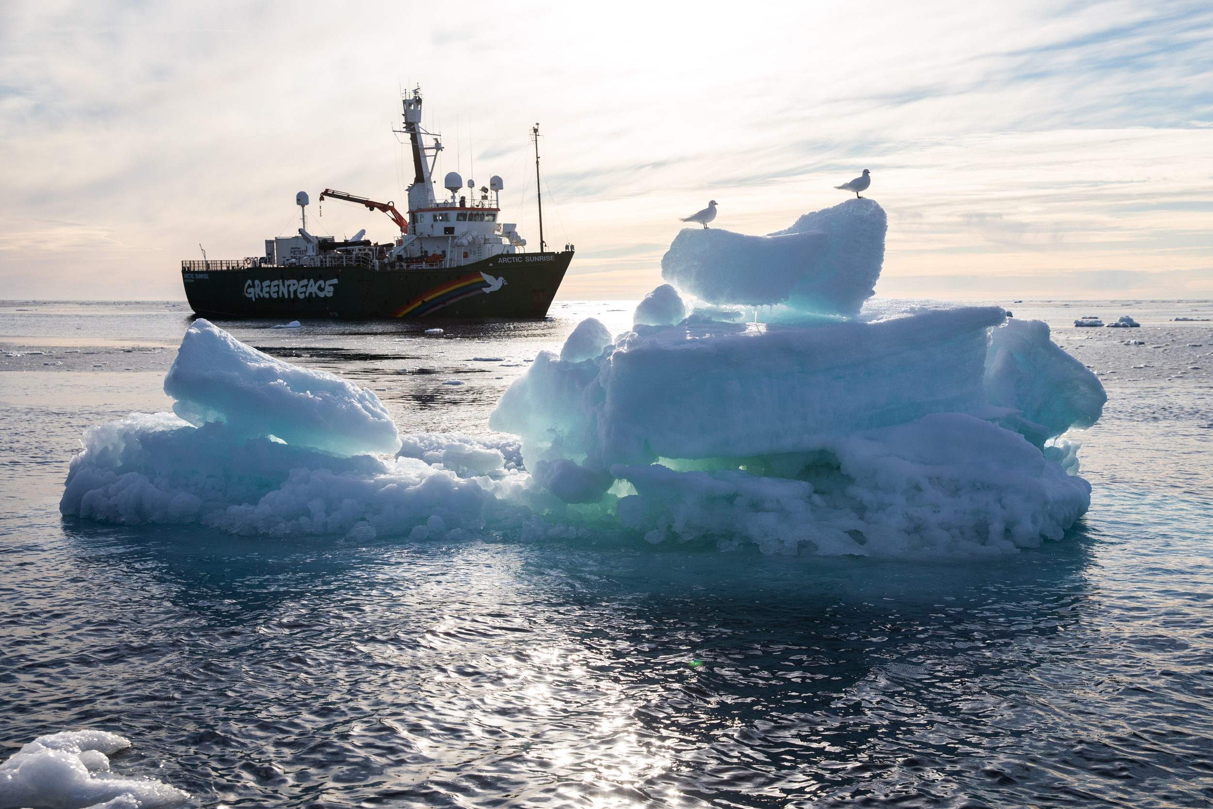 Greenpeace ship Arctic Sunrise in the Arctic Sea