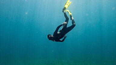 A lone diver hangs upside down in a shallow sunlit ocean, just above a lush seagrass meadow.