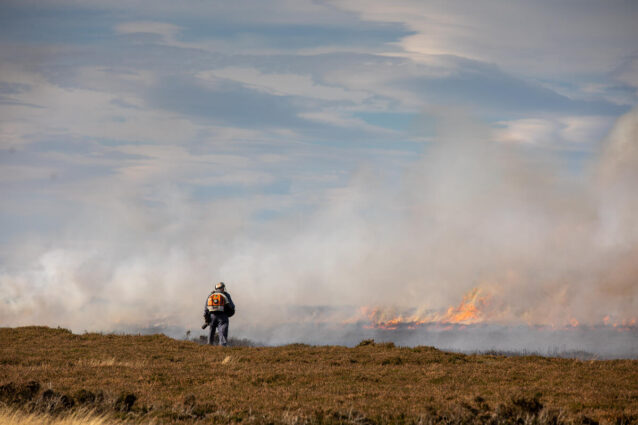 A person wearing protective clothing and breathing equipment watching a large, low-burning fire spreading smoke across a moorland landscape.