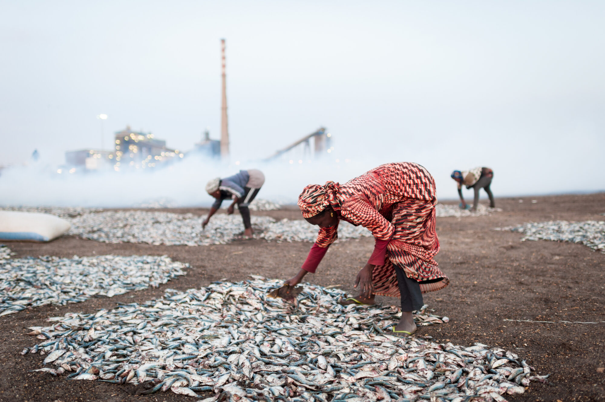 Two Black women sort through large piles of fish lying on the ground. Industrial buildings are visible in the background.
