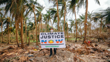 Person holding a sign that reads “Climate justice now”. There are broken palm trees behind them and debris covering the floor they stand on.