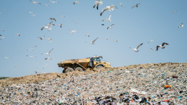 A large truck drives along the top of a giant pile of waste in a landfill site. Seagulls circle overhead.