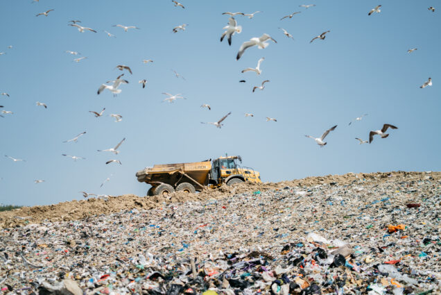 A large truck drives along the top of a giant pile of waste in a landfill site. Seagulls circle overhead.