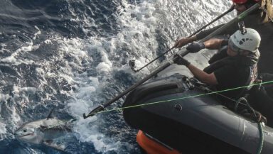 Two people stand in the front of an inflatable boat. They use long poles to lift a fishing line out of the water and free the small shark that's caught on it.