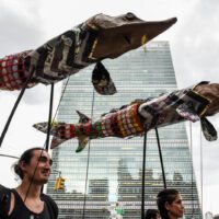 People with fish-like sculptures protest by a large skyscraper