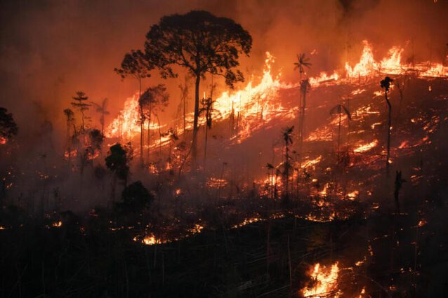Blazing hot fire and smoke scars and engulfs a wooded area.