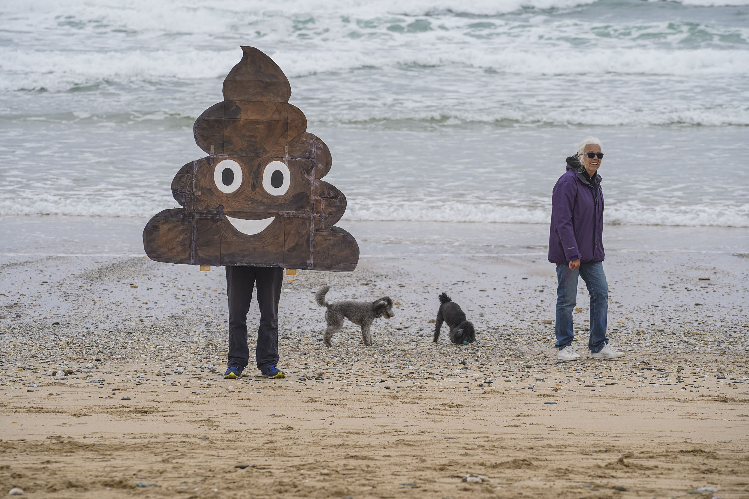 Protester in a 'happy poo' emoji costume stands on a beach. Two dogs and their owner are walking by.