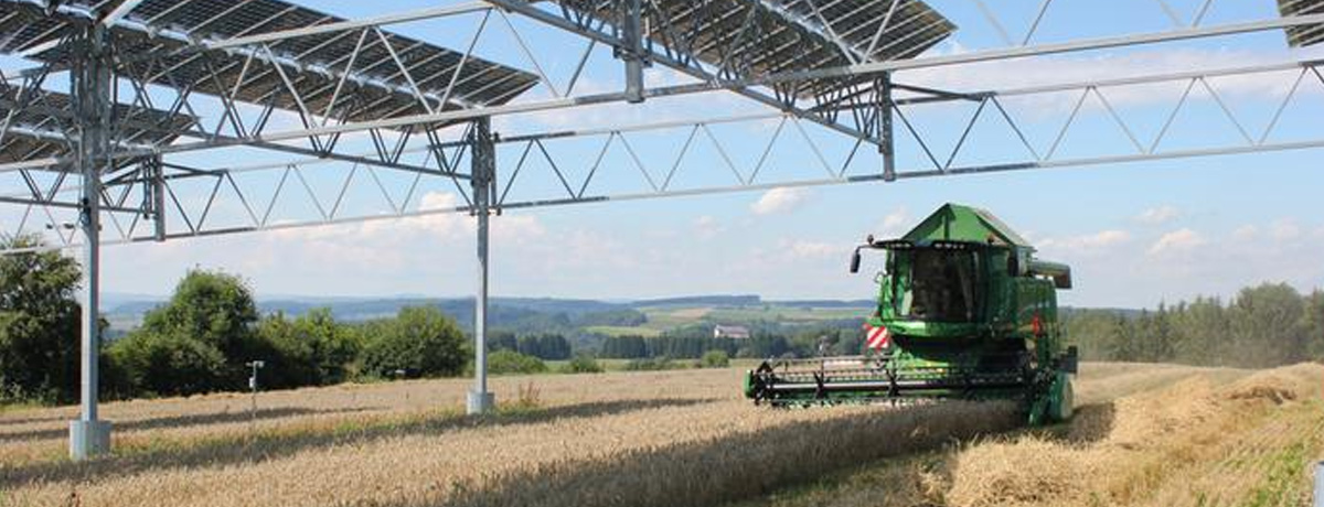 A large harvester passes under a row of solar panels on an elevated metal frame.