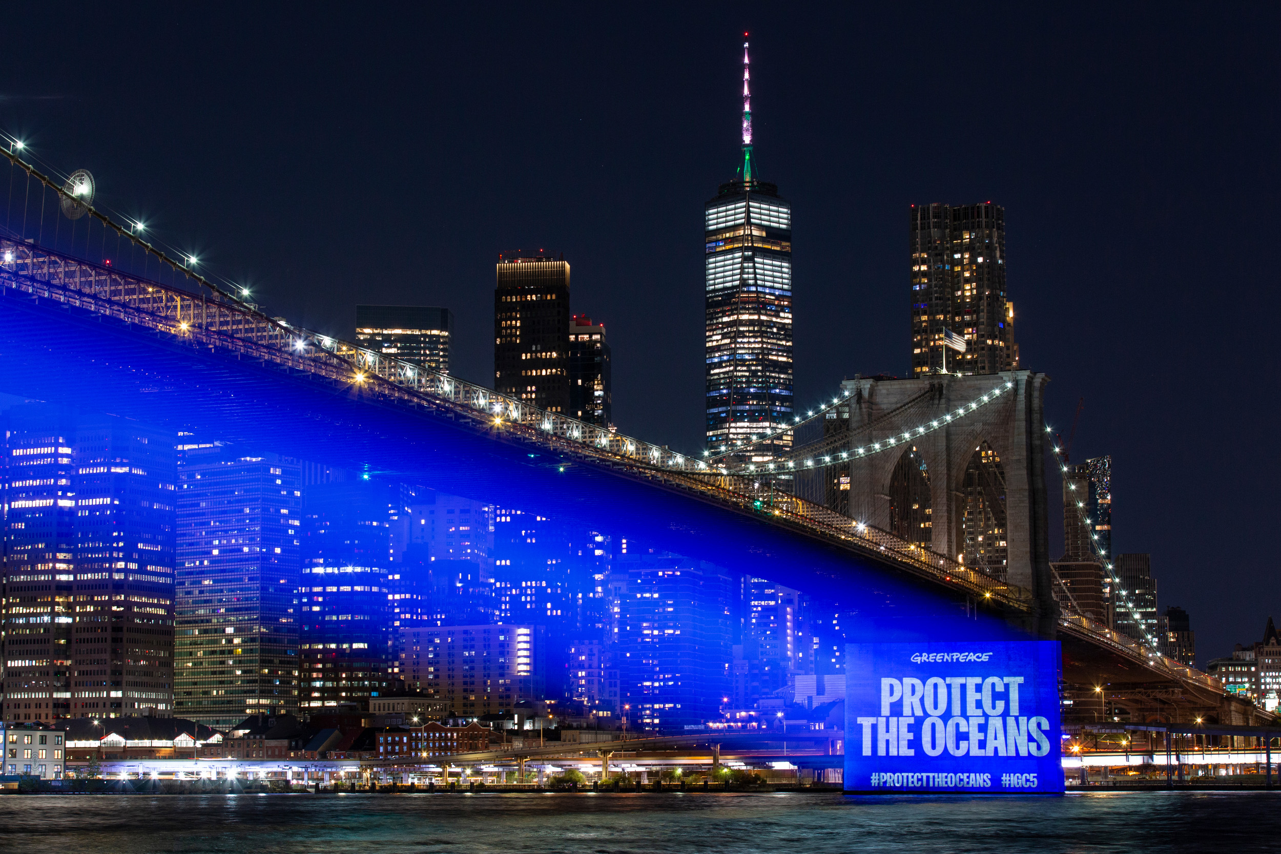 Golden lights glitter on a city bridge at night as a bright blue projection beams underneath. The projected text reads “Protect the oceans”