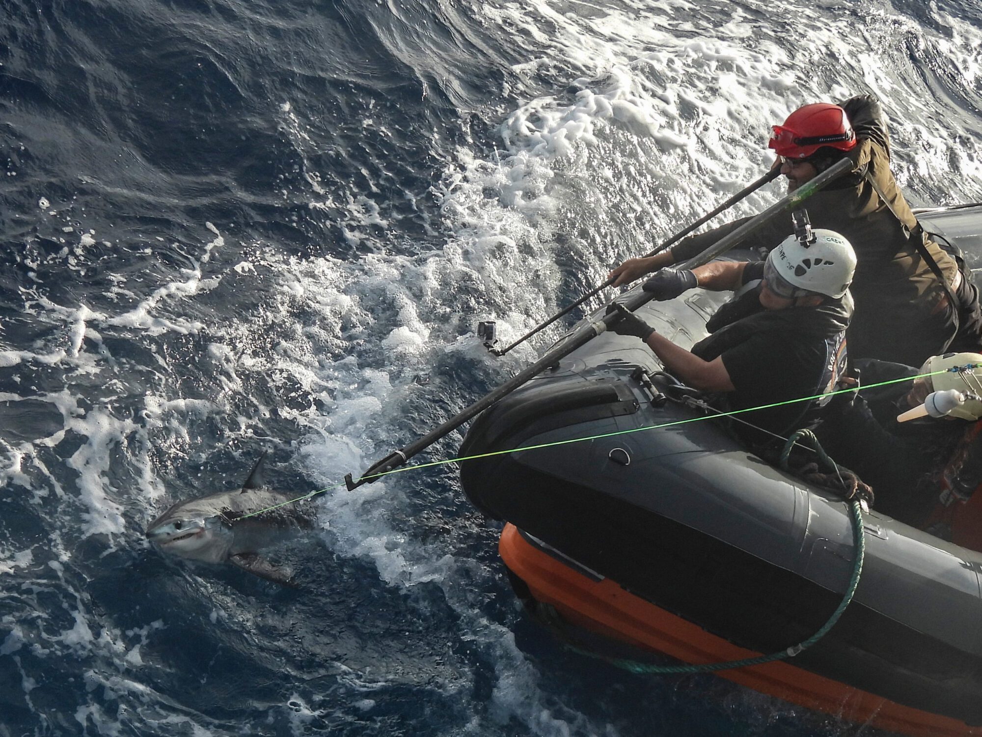 A couple of activists in an inflatable boat pull fishing lines from bubbly ocean waves.