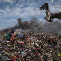 A large bird flies above smoking piles of waste.