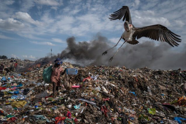 A large bird flies above smoking piles of waste.