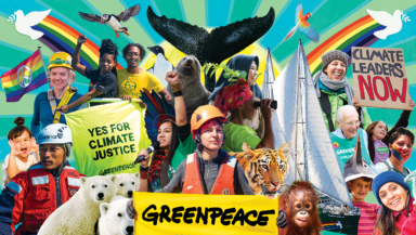 Colourful photo montage shows Greenpeace activists and volunteers at work, along with wildlife like polar bears, whales and orangutans.