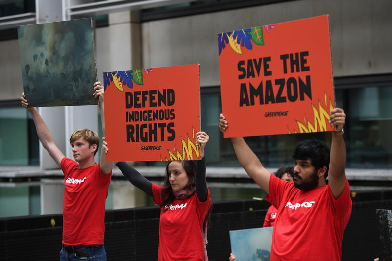 Activists hold up signs saying 'Save the Amazon' and 'Defend Indigenous rights'