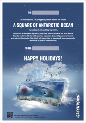 Preview of 'A Square of Antarctic Ocean' gift certificate.