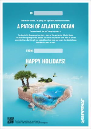 Preview of 'A Patch of Atlantic Ocean' gift certificate.