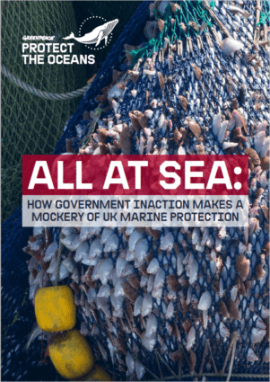 Cover of the All at Sea report, showing a bulging fishing net being lifted out of the sea.