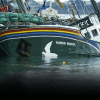 Rainbow Warrior ship sits half-sunk in a harbour. It is tipped to one side and mostly submerged, with the name and rainbow design on the hull still visible.