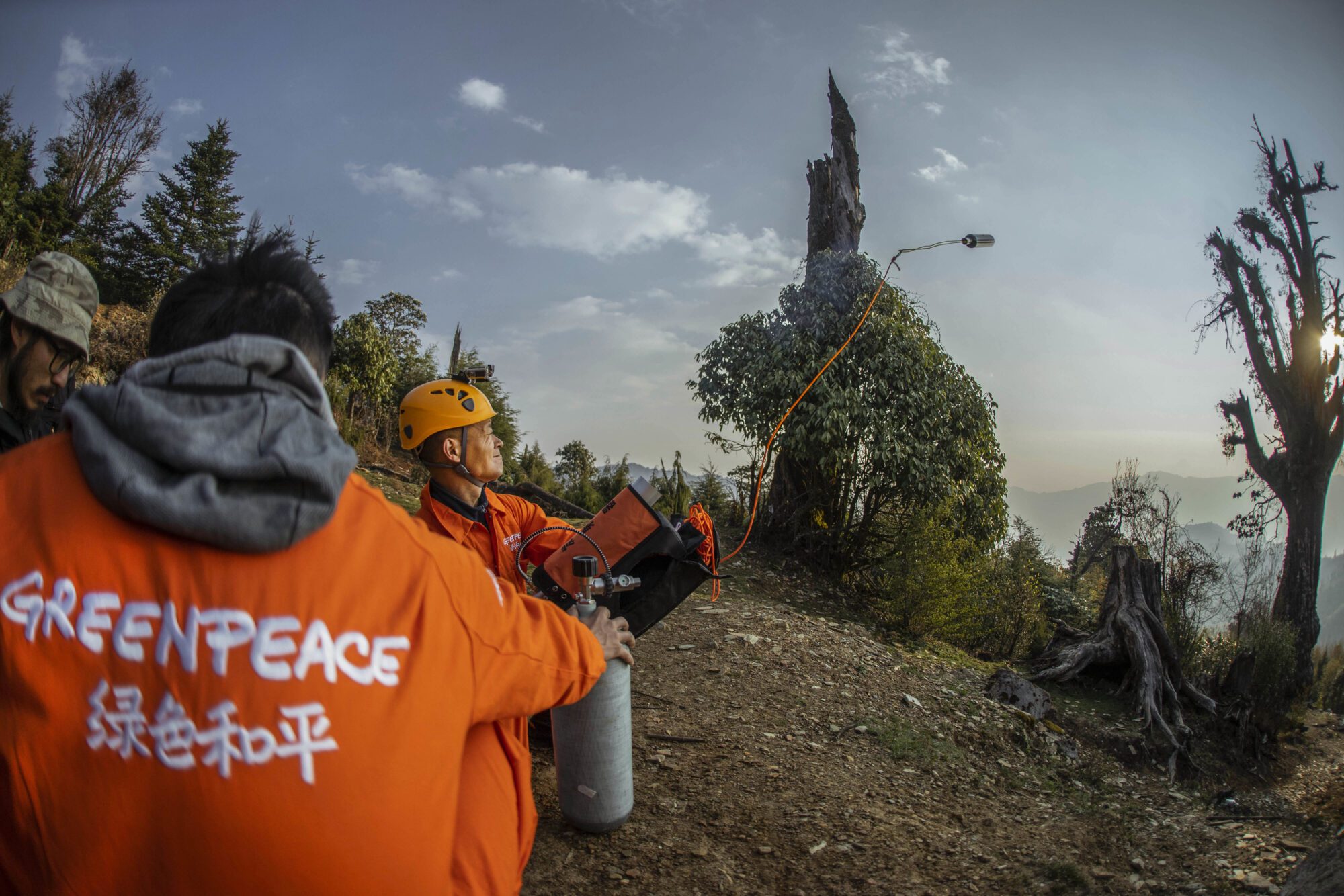 Two people in bright orange Greenpeace jackets, one with their back to us showing the Greepeace logo and Chinese characters. The other is throwing a rope towards a tree