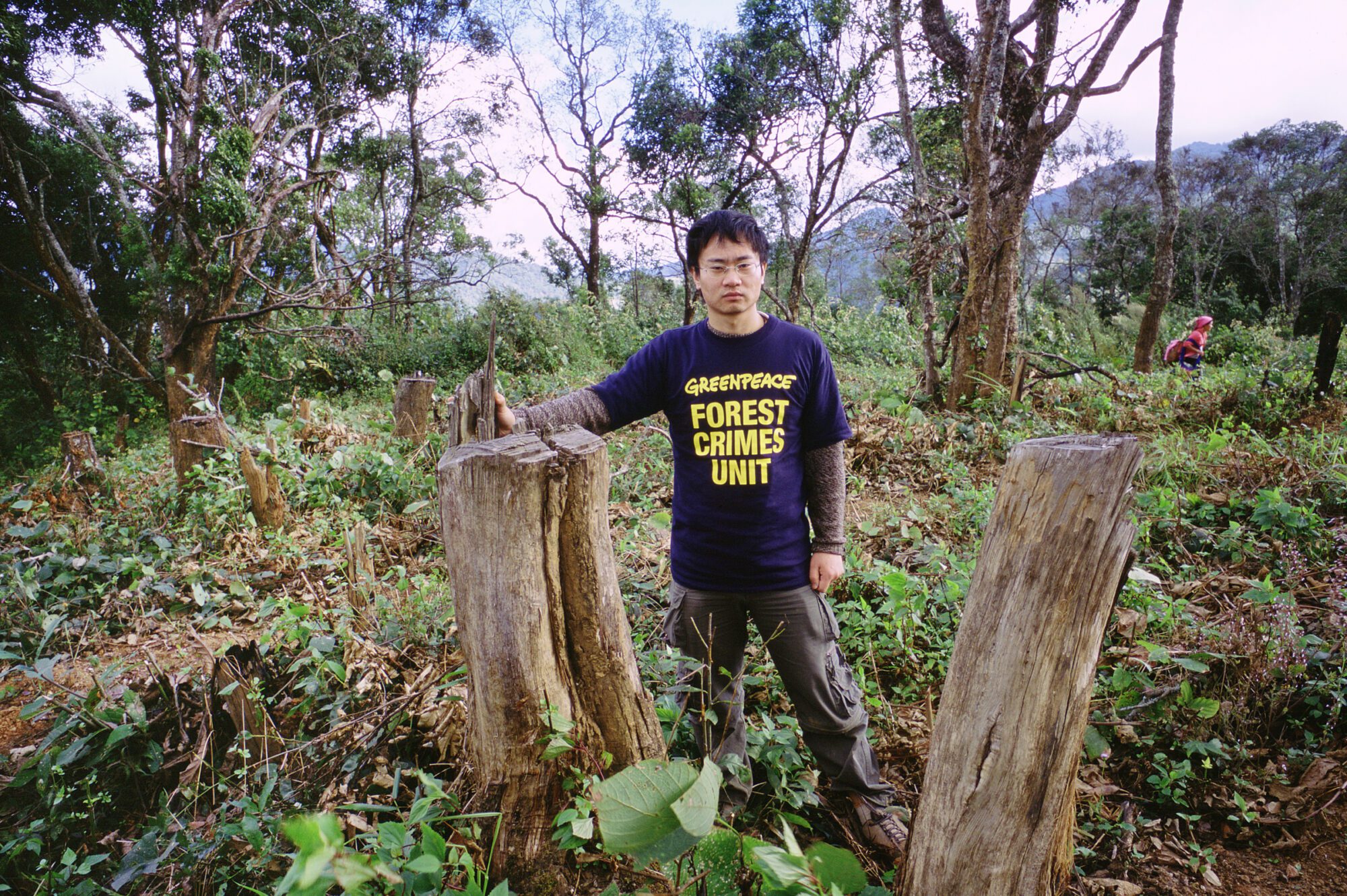 A man stands in a forest arounud surrounded by tree stumps