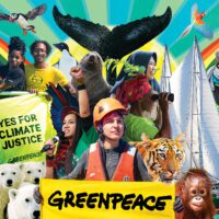Colourful photo montage shows Greenpeace activists and volunteers at work, along with wildlife like polar bears, whales and orangutans.