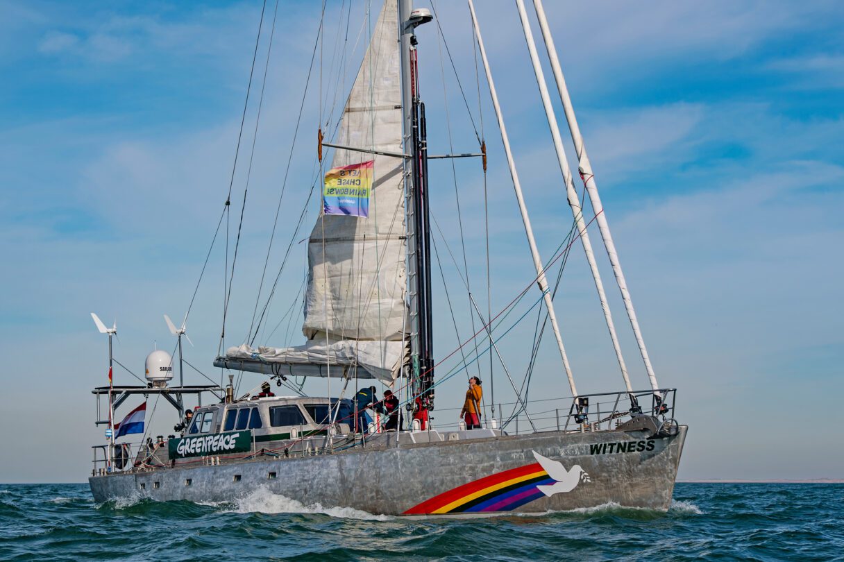 A small Greenpeace ship with a sail and a rainbow insignia on the side sails under a bright blue sky.