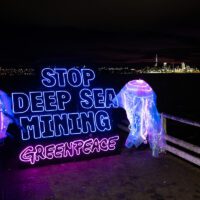 Neon sign saying stop deep sea mining with jellyfish sculptures on each side