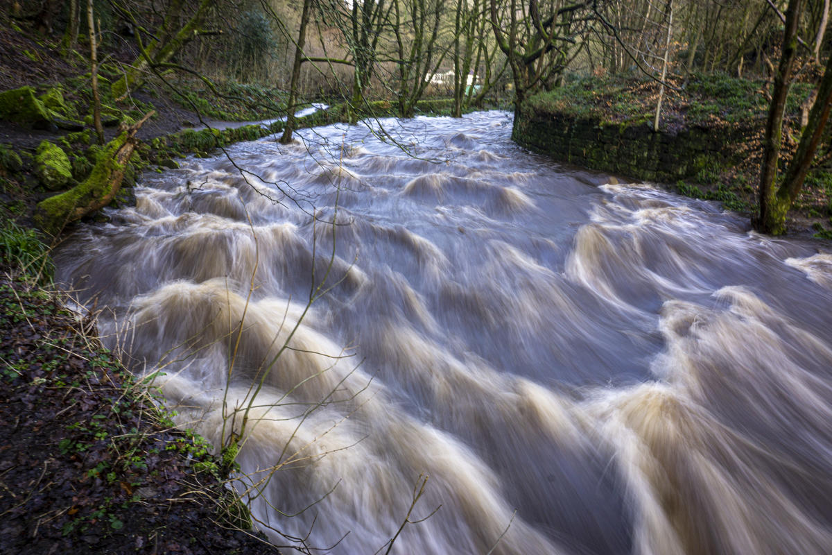 A swollen river rushing through woodland
