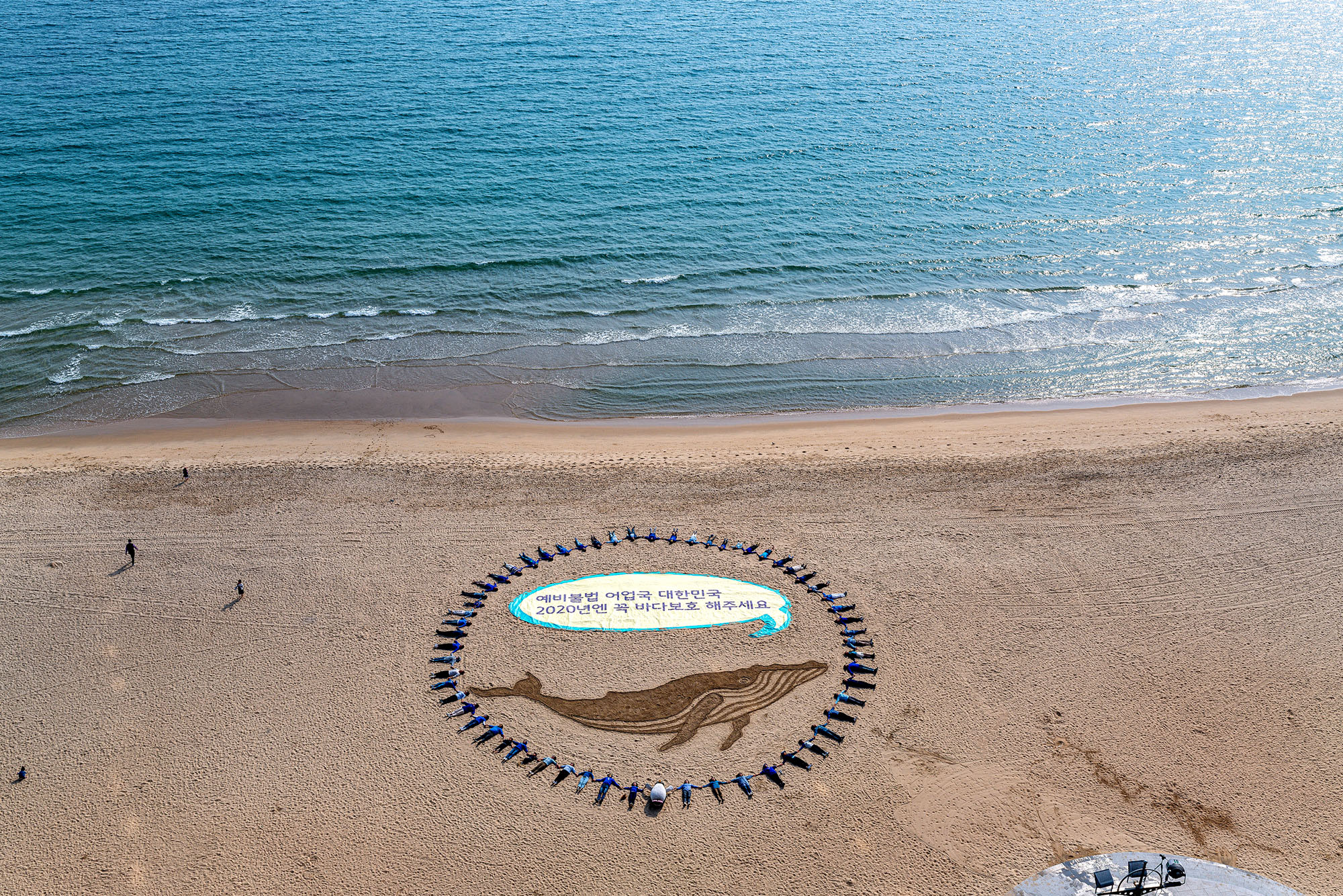 Aerial view of a whale drawn in the sand of a beach. People wearing blue lie in a circle around it, and a speech bubble-shaped banner coming from the whale shows Korean text.