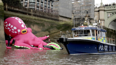 A giant pink inflatable octopus sits on the bank of the Thames directly below the Houses of Parliament, with a police boat alongside