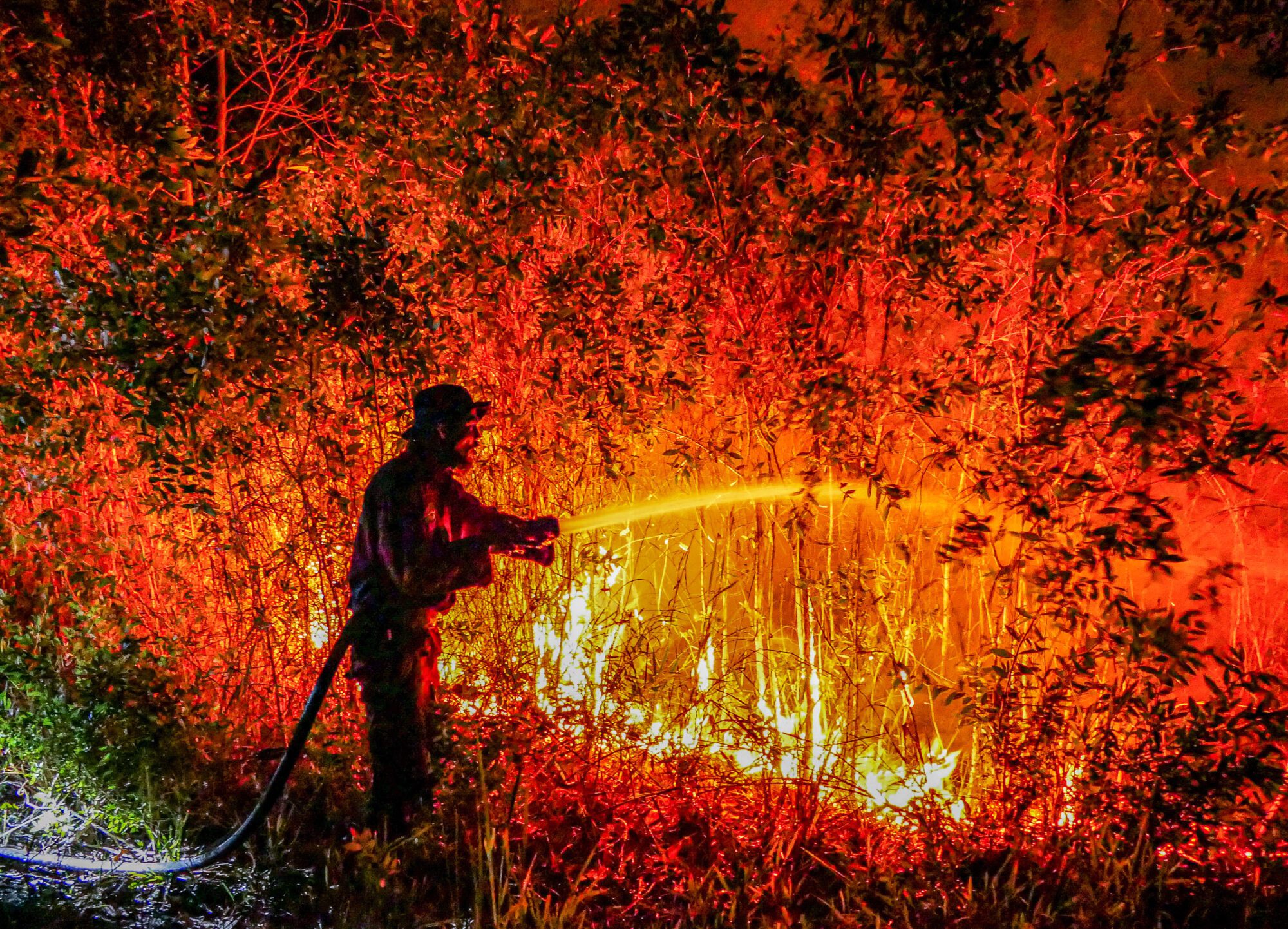 An entirely deep orange forest scene with a person in firefighting gear holding a hose, the water from which is pouring out in a straight line and is as bright orange as the fire burning underneath it.