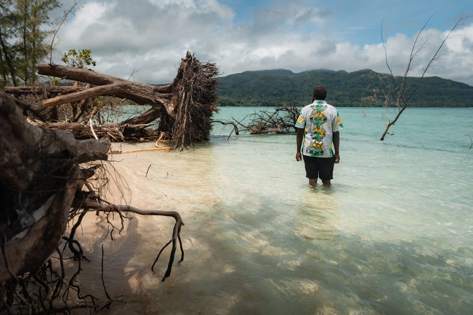 A man in a colourful patterned shirt stands at the shore of a Crystal clear light bluey-green sea, water up to his knees. A couple of fallen tree stumps are visible with the fallen trees on the right of the image. In the background is a mountain island