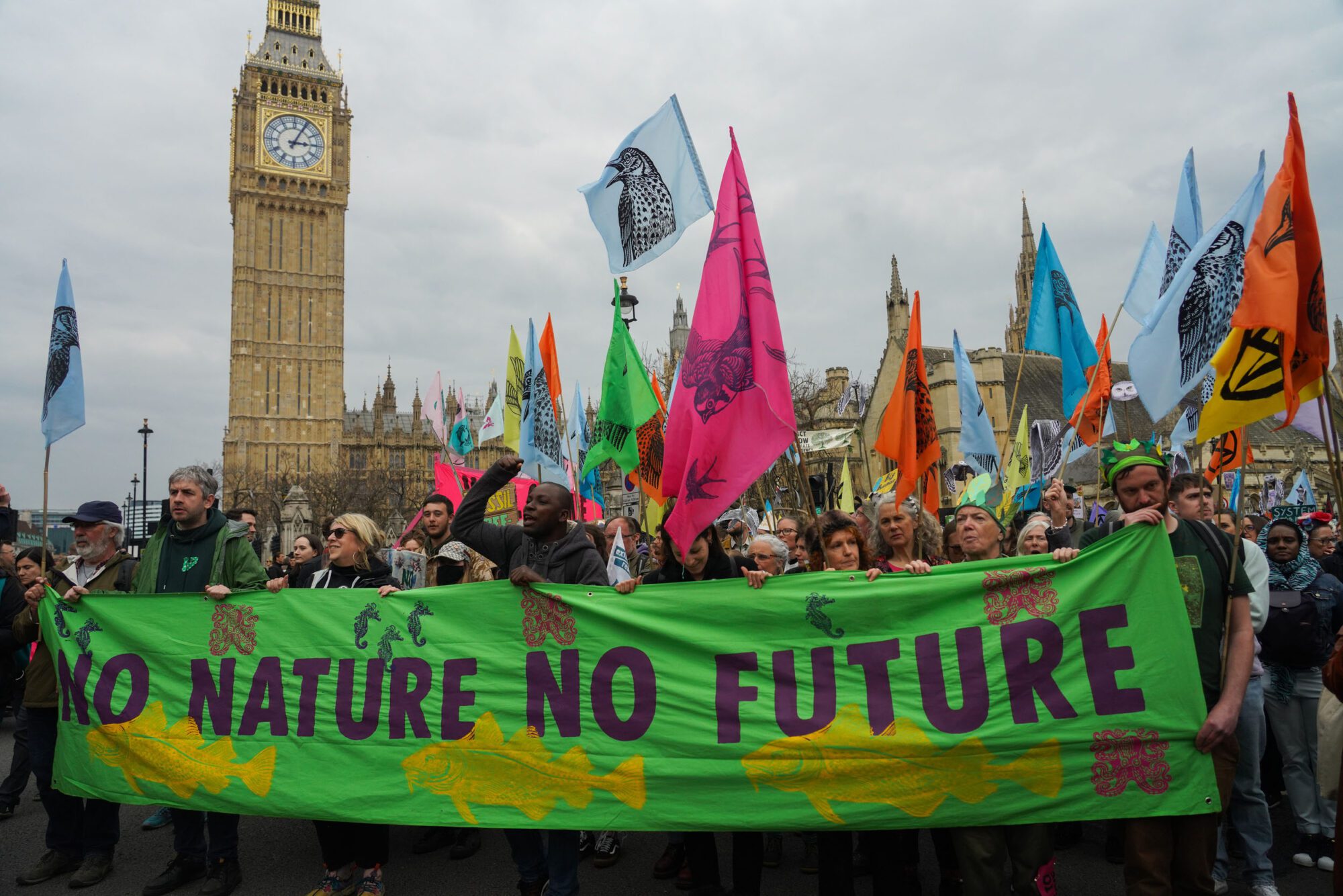 A scene in front of Big Ben with many in a crowd waving colourful flags. In front of the cloud is a huge green banner reading "No nature, no future"