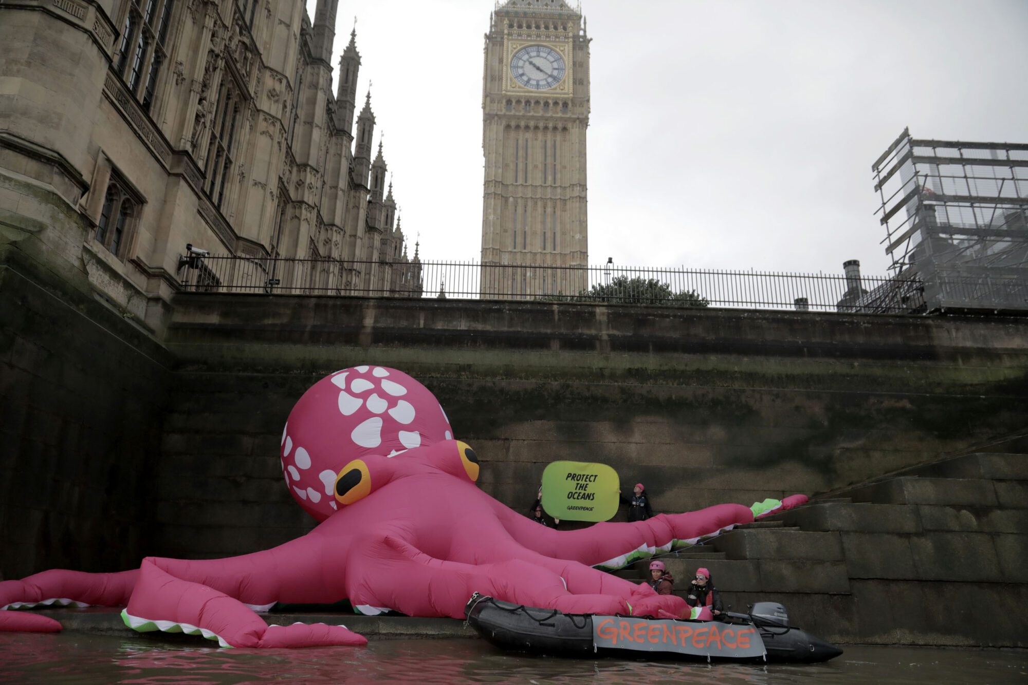 A bright pink inflated octopus shape with bulging eyes and white detailing on the head and tentacles sits on some steps down to a river with Big Ben visible in the background. The octoput is half laid across a rhib boat with a grey banner reading Greenpeace in orange. Behind is a yellow banner reading "Protect the oceans"