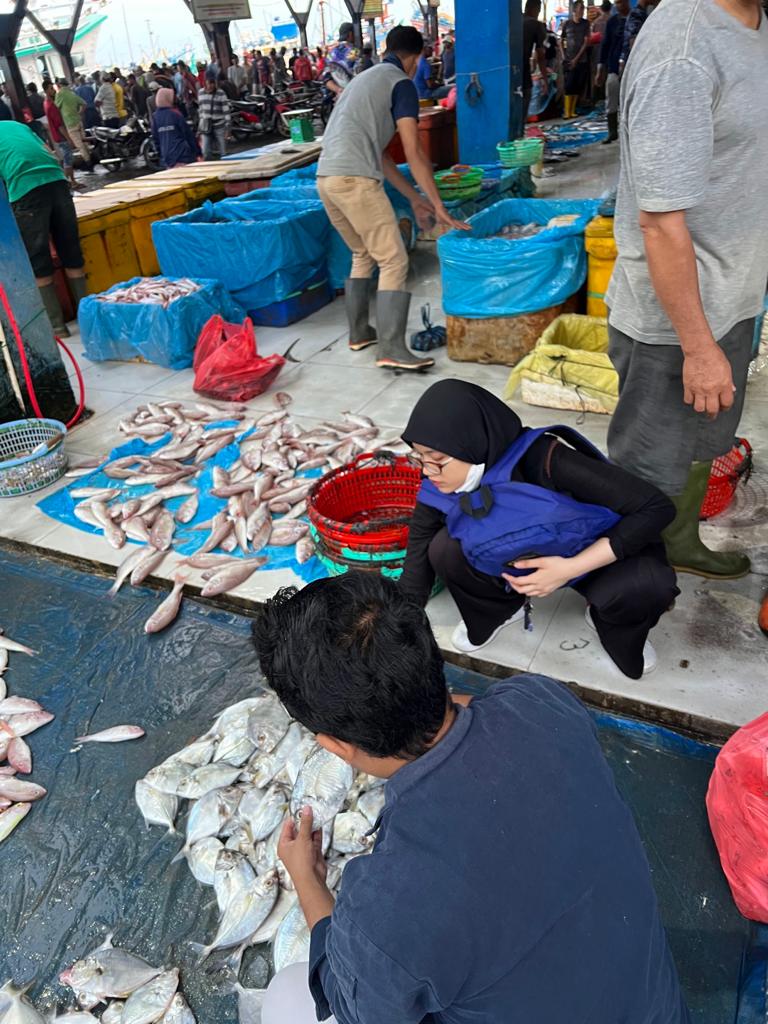 Workers sort fish laid out on plastic sheeting